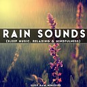 Sleep Rain Memories - Heavy Fall Downpour