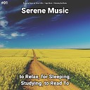 Relaxing Music by Vince Villin Yoga Music Relaxing Spa… - Serene Music Pt 78