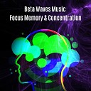 Emiliano Bruguera - Beta Waves Music Focus Memory Concentration