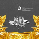 Sisko Electrofanatik - My Realm Hanubis Remix