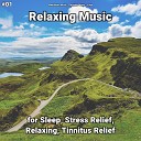Meditation Music Relaxing Music Yoga - Relaxing Music Pt 11