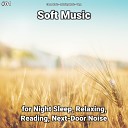 Sleep Music Relaxing Music Yoga - Soft Music Pt 11