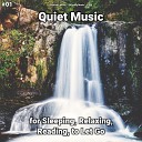 Peaceful Music Relaxing Music Yoga - Quiet Music Pt 5