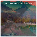 Daily Relax Universe Zen Natural Sounds - Sense of Healing