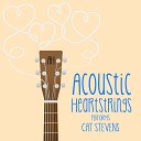 Acoustic Heartstrings - Where Do the Children Play