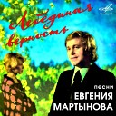 Евгений Мартынов Инструментальный оркестр… - Летом и зимой