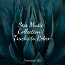 Baby Relax Music Collection Deep Sleep Music Delta Binaural 432 Hz Hipnose Natureza Sons Cole… - Ambient Textures