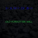 In A Hue Of Blue - Old Forgotten Wall