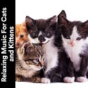 Stress Relief Helper - Music for Calming Cats and Kittens Pt 16