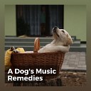 Calm Dog Music - Our Dogs Fave Track