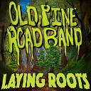 Old Pine Road Band - Paper Hands