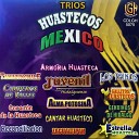 Cantar Huasteco - El Hidalguense