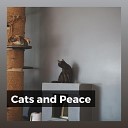 Cats Music Zone - Ultimate Zen Music for Your Cat Pt 20