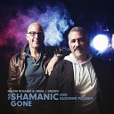 The Shamanic feat Suzanne Palmer - Gone Radio Edit