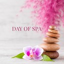Bath Spa Relaxing Music Zone - Revitalize Your Body