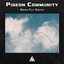 Pigeon Community - Birds Fly South