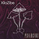 XiloZibe - Entre Tu y Yo