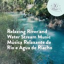 Ensaio Hol stico - Relaxing River and Water Stream Music M sica Relaxante De Rio E gua De…