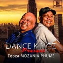 Tronix feat Tebza Mozania - Simple Love feat Tebza Mozania