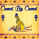 Bardcore - Camel By Camel Medieval Version