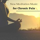 Zen Sleep Meditation - Music to Feel Less Pain
