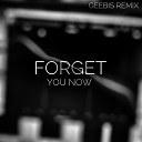 DEGRISE - Forget You Now Geebis Remix