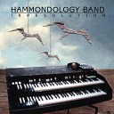 Hammondology Band Blanco K - Red Wine