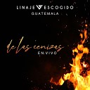 Linaje Escogido Guatemala - De Las Cenizas