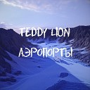 TEDDY LION - Аэропорты