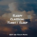 Musica Para Dormir y Sonidos de la Naturaleza Meditation Relaxing Spa… - Pure Bliss