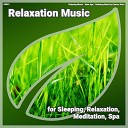 Relaxing Music New Age Relaxing Music by Darius… - Relaxation Music Pt 67
