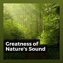 The Nature Soundscapes - Environment s Song of Awe