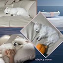 Relaxing Mode - Music To Let A Doggy Sleep Fully