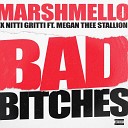 Marshmello x Nitti Gritti feat Megan Thee… - Bad Bitches