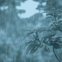 Дождливые дни Список… - Чувство Дождь