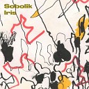 Sobolik - Iris Original Mix