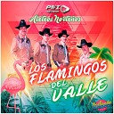 Los Flamingos Del Valle - Estados De Colima