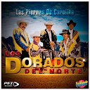 Los Dorados Del Norte - Mi Rancho