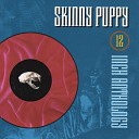 Skinny Puppy - Stairs and Flowers Def Wish Mix