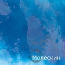 Молескин - Космонавт