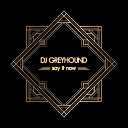 DJ Greyhound - Say It Now