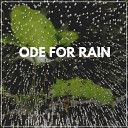 The Sound Of The Rain - Wholesome Rain Pt 23