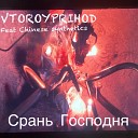 VTOROYPRIHOD feat Chinese synthetics - Срань Господня
