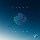 Chuck Drtina - Serene Skies Bidlo Amapiano Remix
