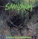 Sanatorium - Necrologue Written In Forest