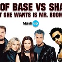 Ace of base Vs Shaggy - All that she wants is Mr Boombastic