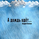 Андрей Вахнин - Романс Неморино Из оперы Любовный…