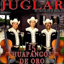 Trio Juglar De Zacuaitipan Hidalgo - La Manta Vieja