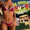 La Unica Sonora - Todo Me Gusta de Ti