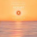 Classical Hits Schola Camerata - Allegro Molto 1St Movement Symphony No 40